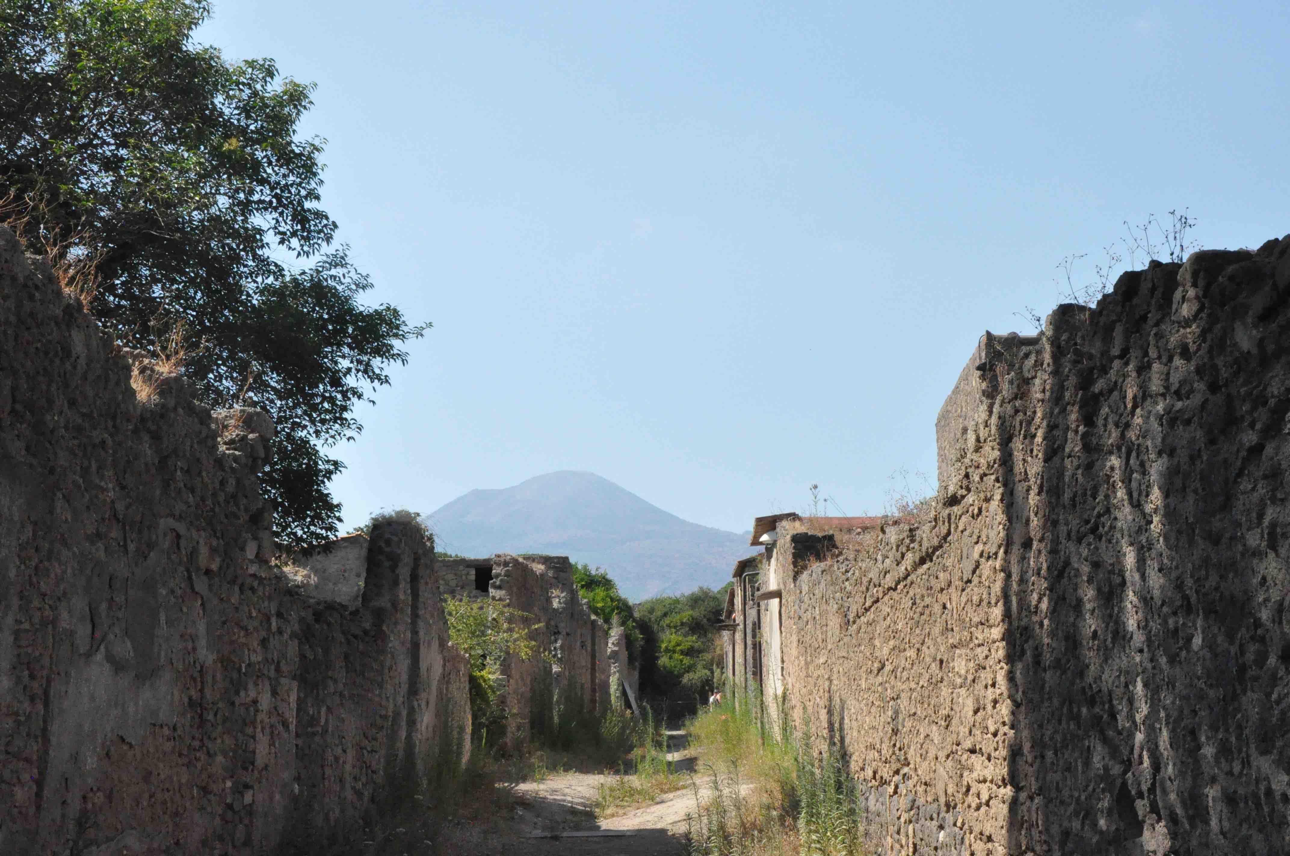 BGFS Pompeii Vesuvius