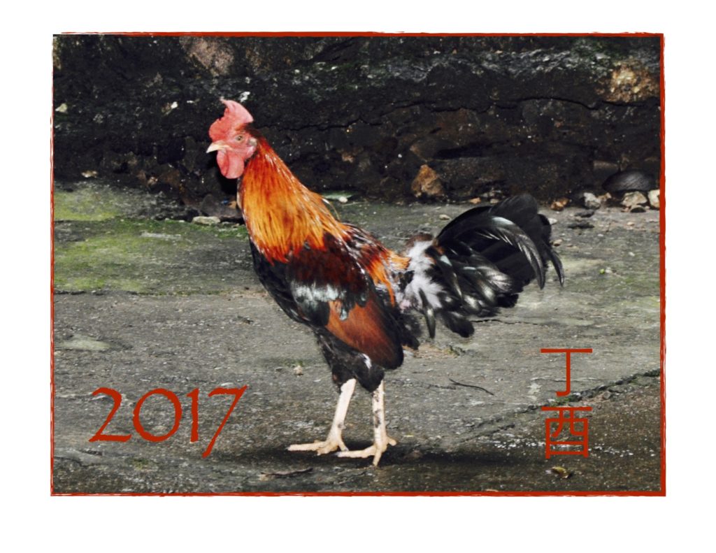 Fire Rooster Ding You Image